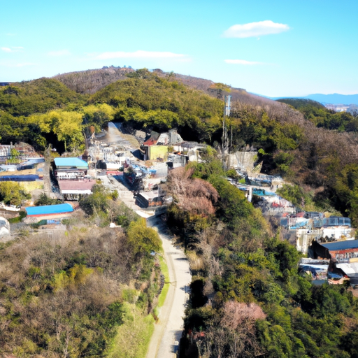 とにかく明るい安村　芸人について